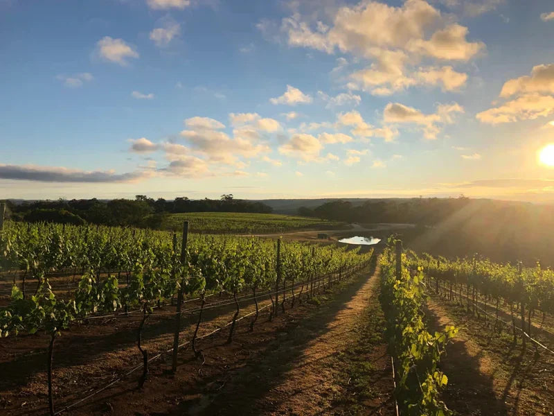 Painting the Southern Highlands – The Places That Inspire My Work