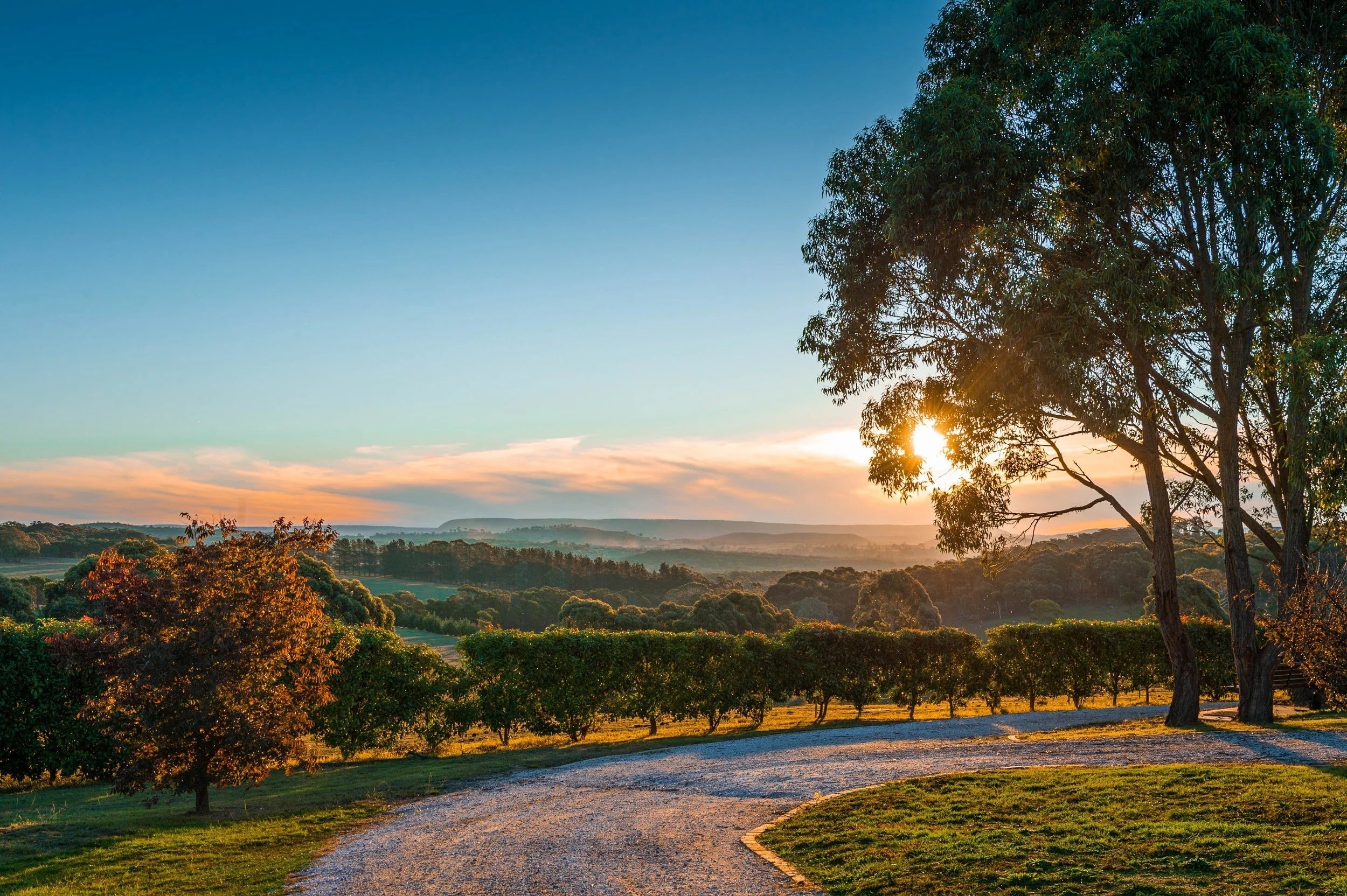 Curating Art for Your Home – This Highlands Artist’s Guide