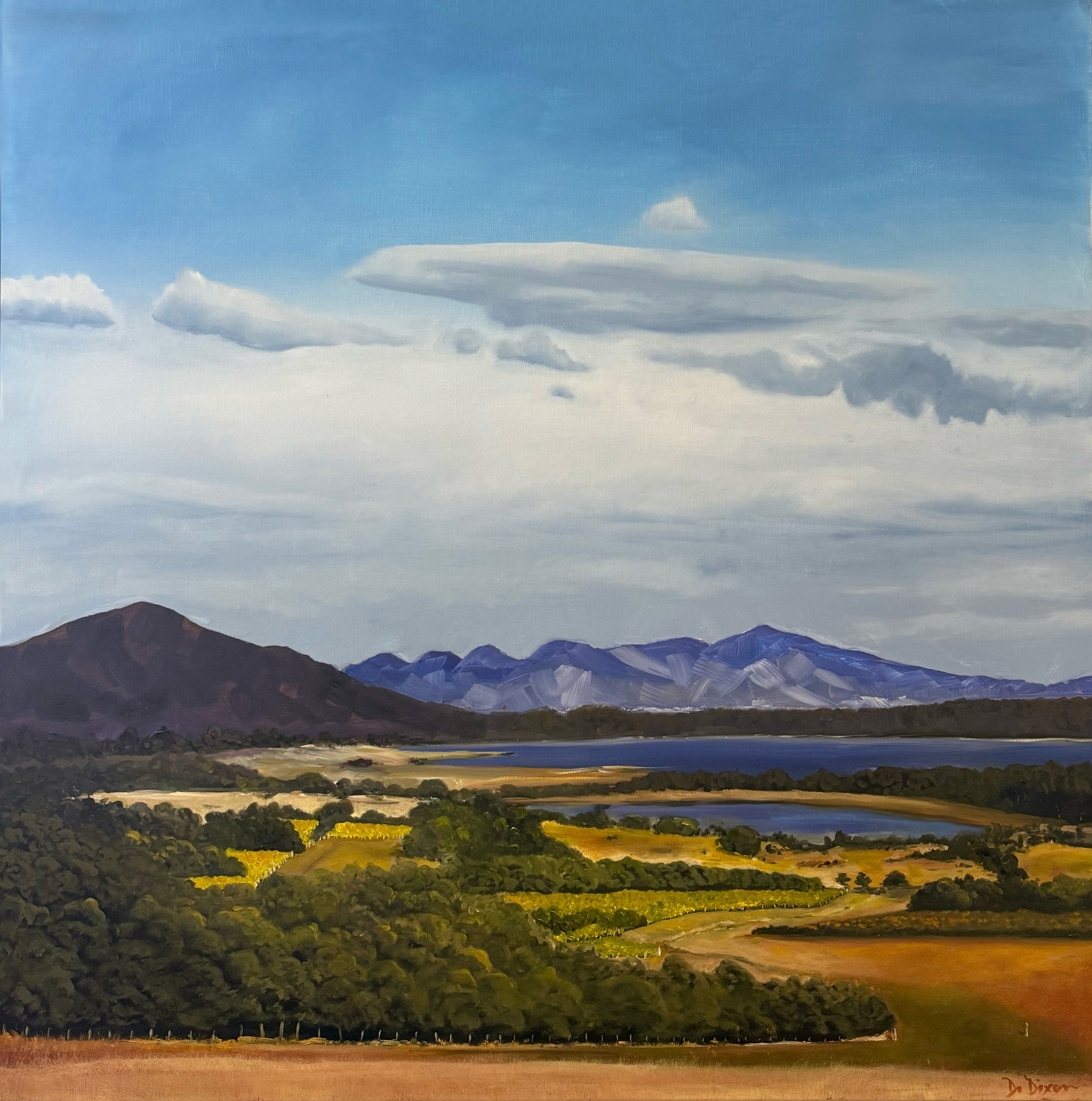 Devil's Corner Vineyard & The Hazards